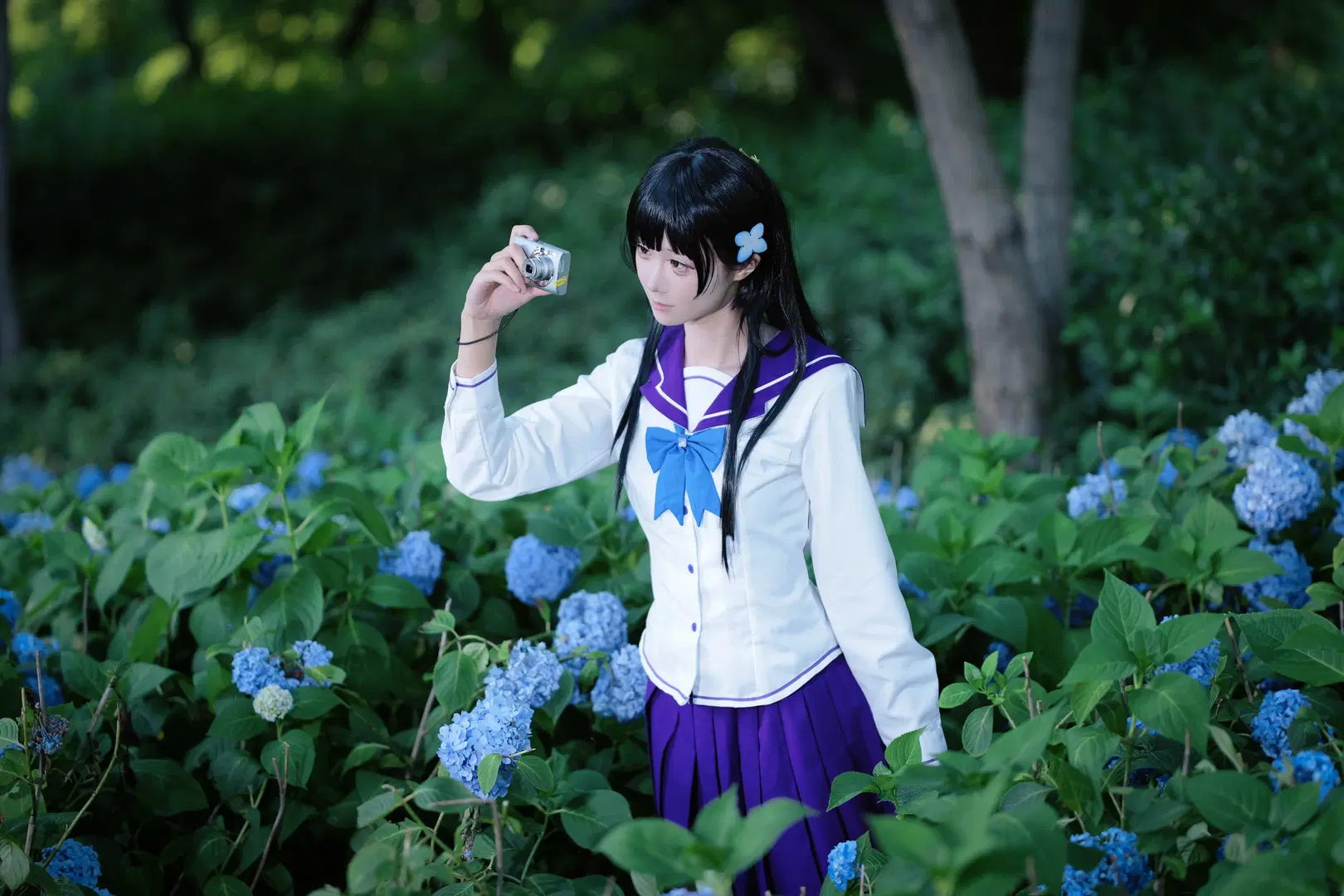 【Sankarea: Undying Love cosplay】Endless Summer of Hydrangea: Sailor Suit Maiden Amidst Blossoms (Anime-style photography & Black stockings) by 段景 - Image 5