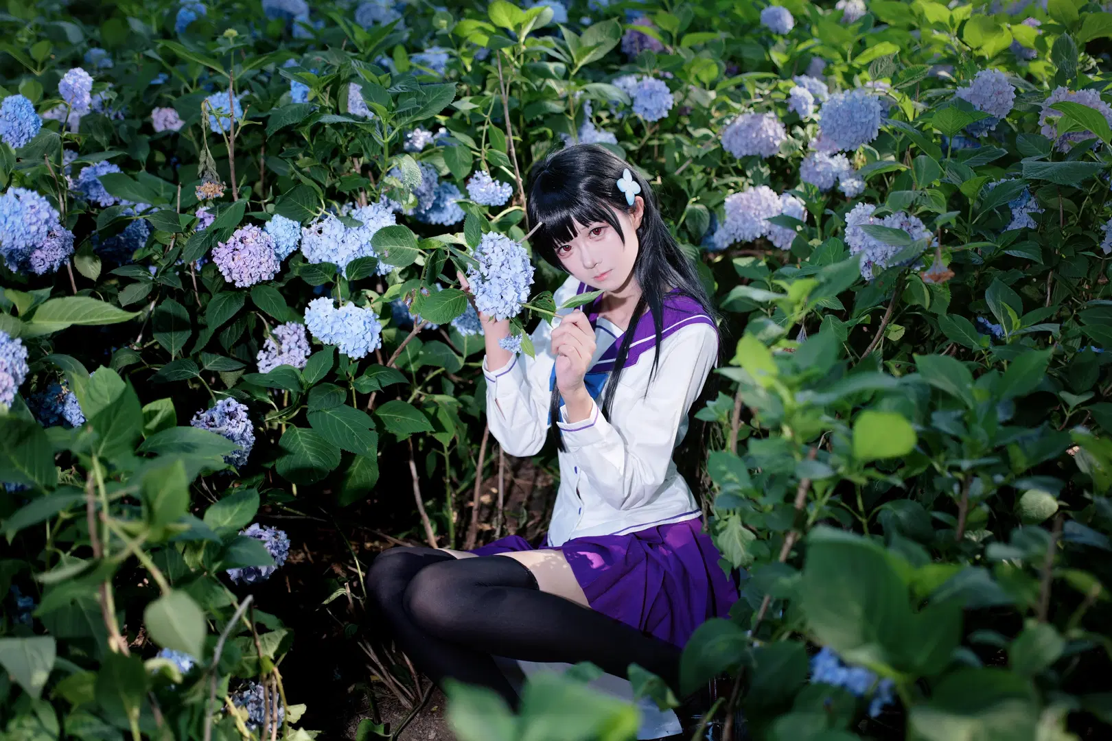 【Sankarea: Undying Love cosplay】Endless Summer of Hydrangea: Sailor Suit Maiden Amidst Blossoms (Anime-style photography & Black stockings) by 段景 - Image 7