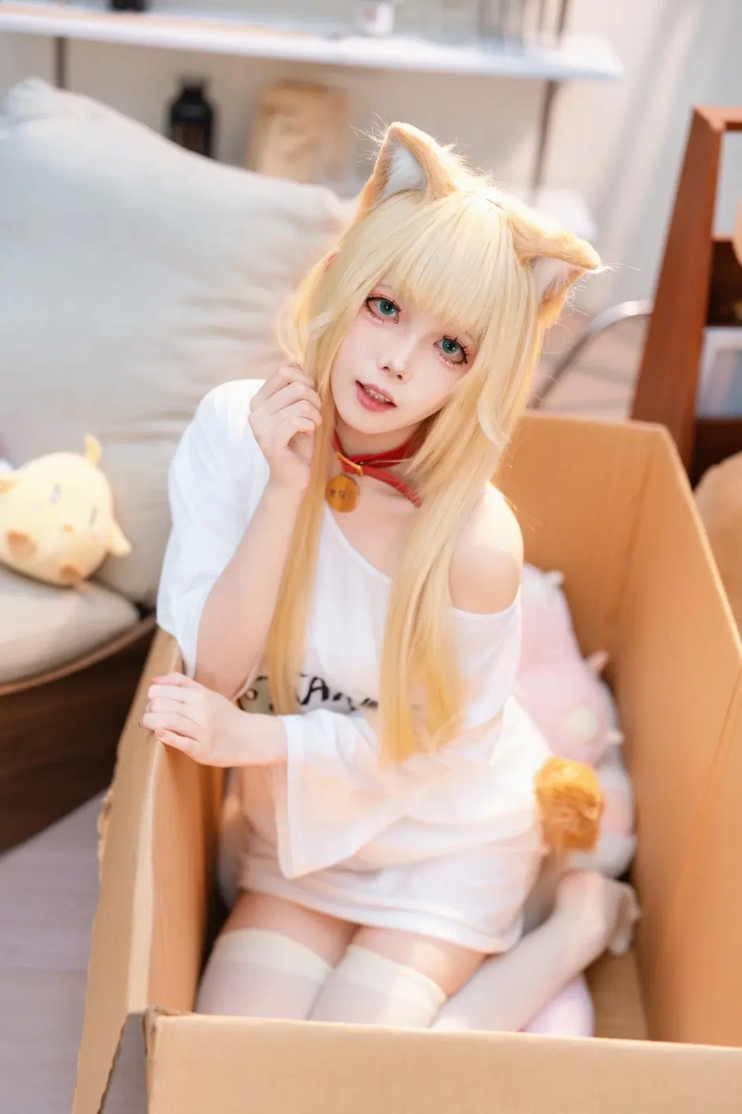 【きなこコスプレ】誰のところの子猫ちゃんがダンボールに入っちゃったの？ - 北原 - 2枚目