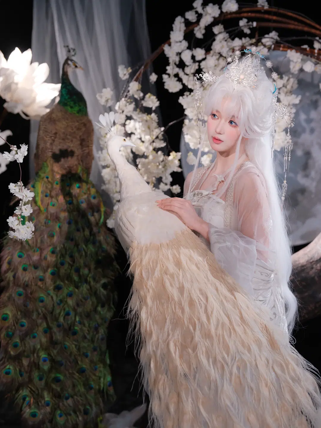 【越汐音cos】花亦山心之月白孔雀神女造型 - 皮皮皮皮皮皮蛋 - 第6张