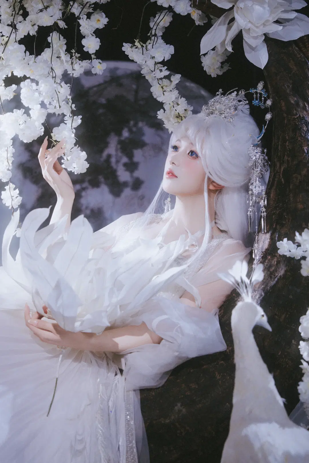 古风写真, 清冷感, 孔雀明王cos, 国风志怪, 白孔雀