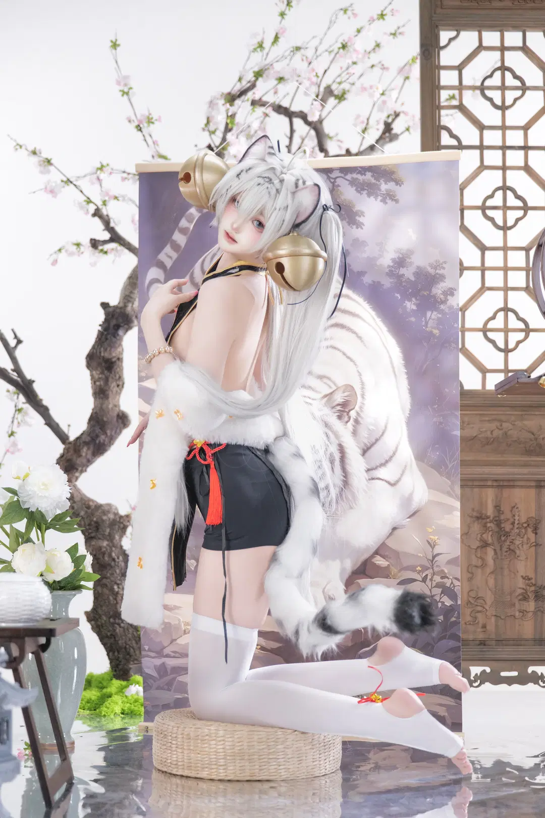 白虎娘cos, 兽耳娘cosplay, 白发双马尾, 国风棚拍, 白丝踩脚袜
