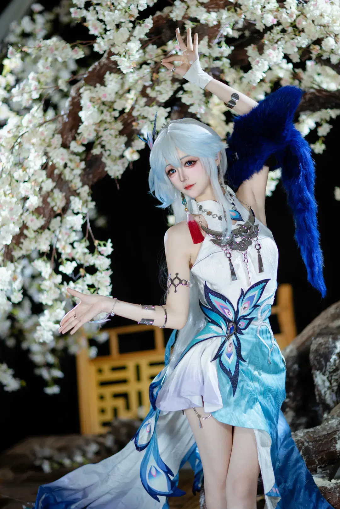 【爻光cos】崩壞星穹鐵道，藍羽白櫻的棚拍記錄 - 小时汤泡饭 - 第3張