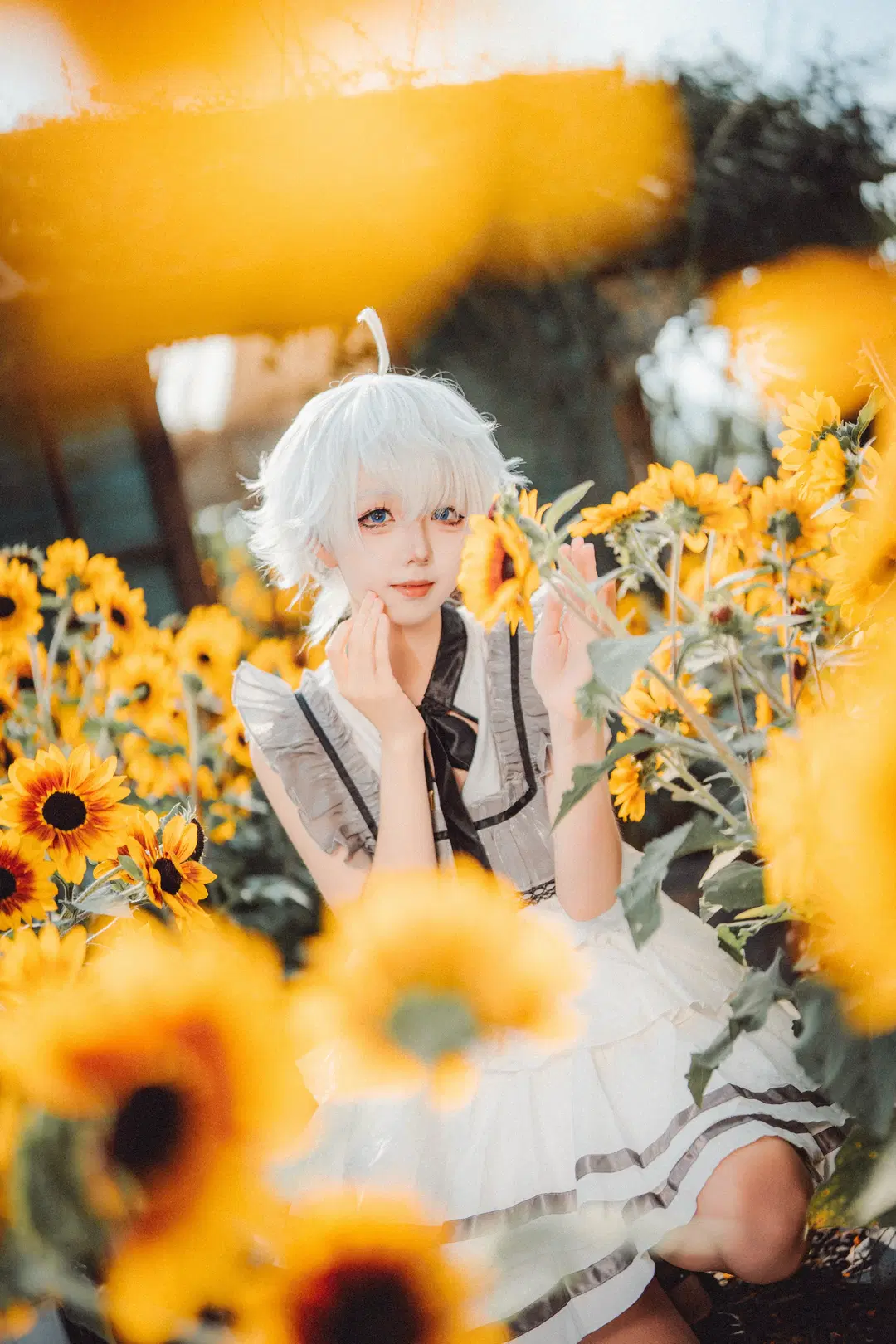 二次元少女, 花海摄影, 最终幻想14, 向日葵写真, 阿莉塞cos