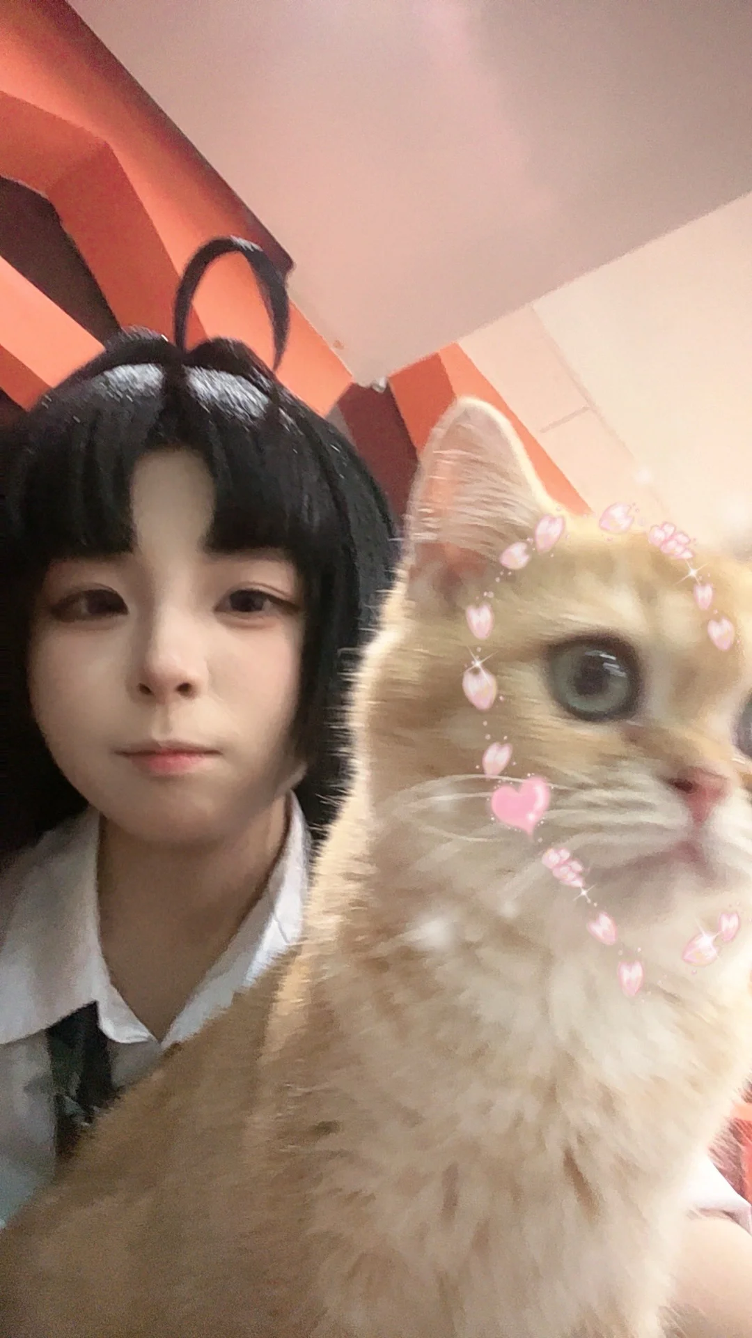 【Awa Subaru cosplay】Girls Band Cry Awa Subaru and Two Kitties' Cuddling Record by 炭烤纤纤子qvq - Image 2