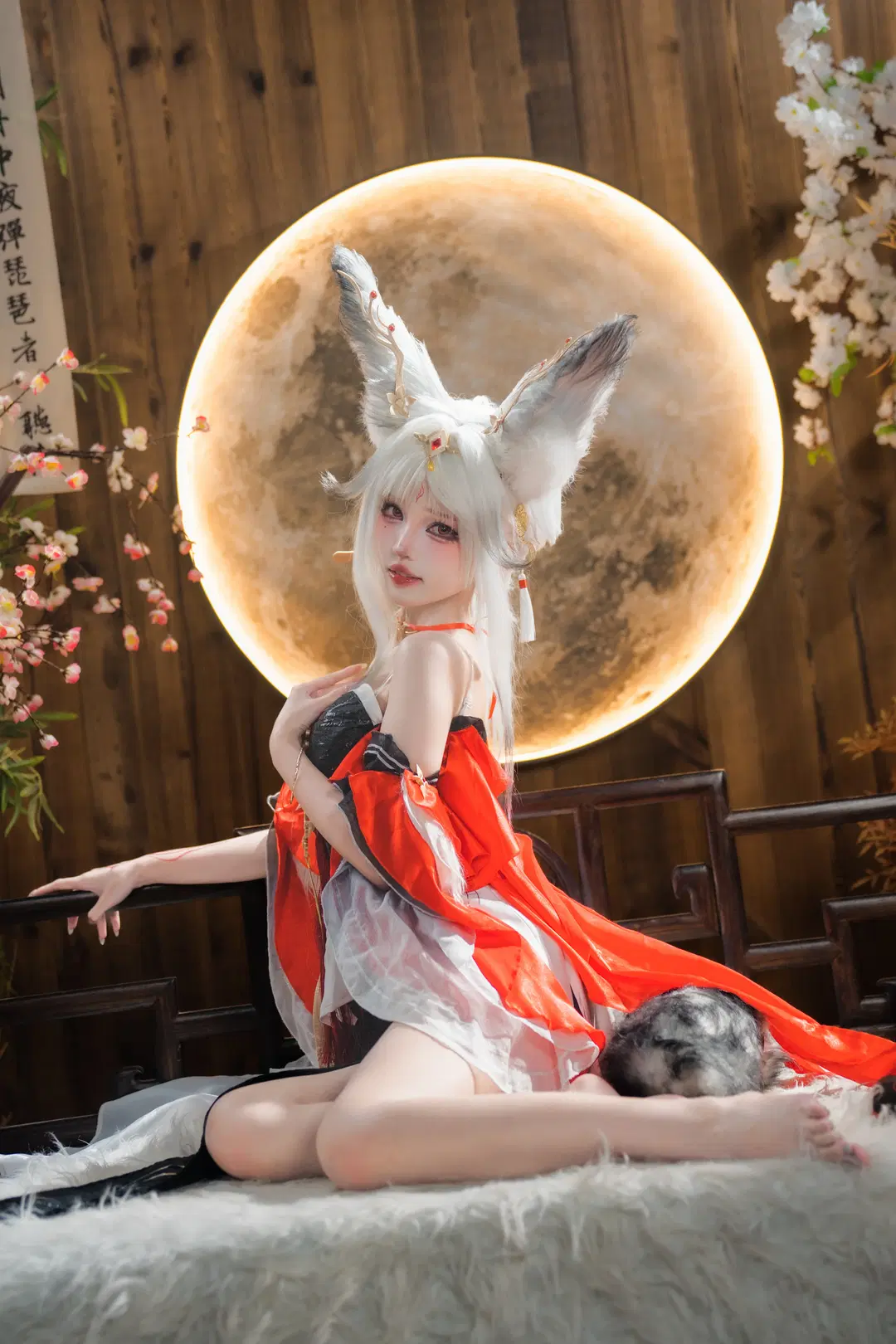 【心月狐cos】鸣潮里的狐妖，红黑配色的拍摄心得 - 猫科狐狸米缸（痴呆版） - 第5张