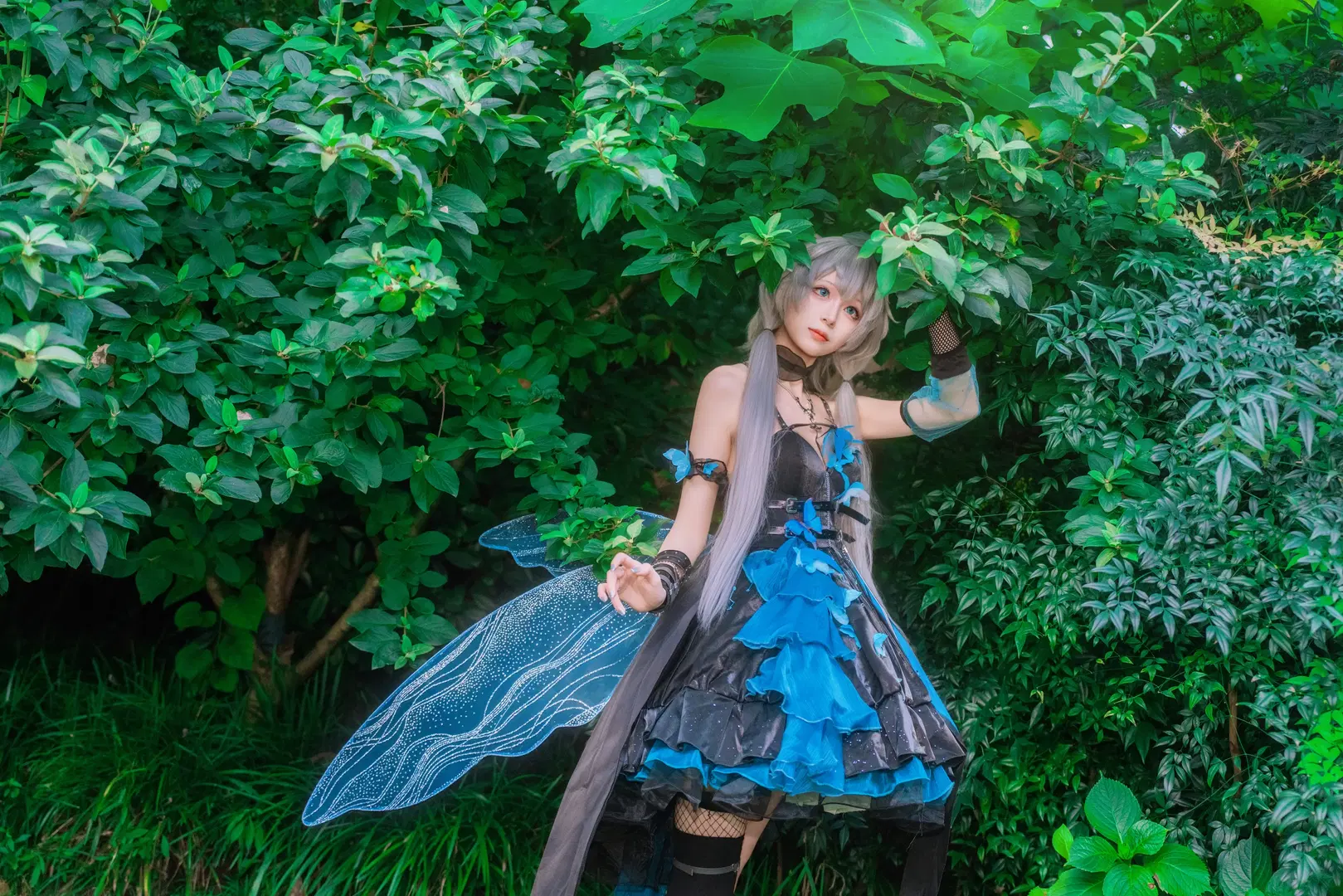 Luo Tianyi Summer Insect cosplay: Black-and-blue forest fairy style by Zhu.SAMA🔦📷 - Image 4