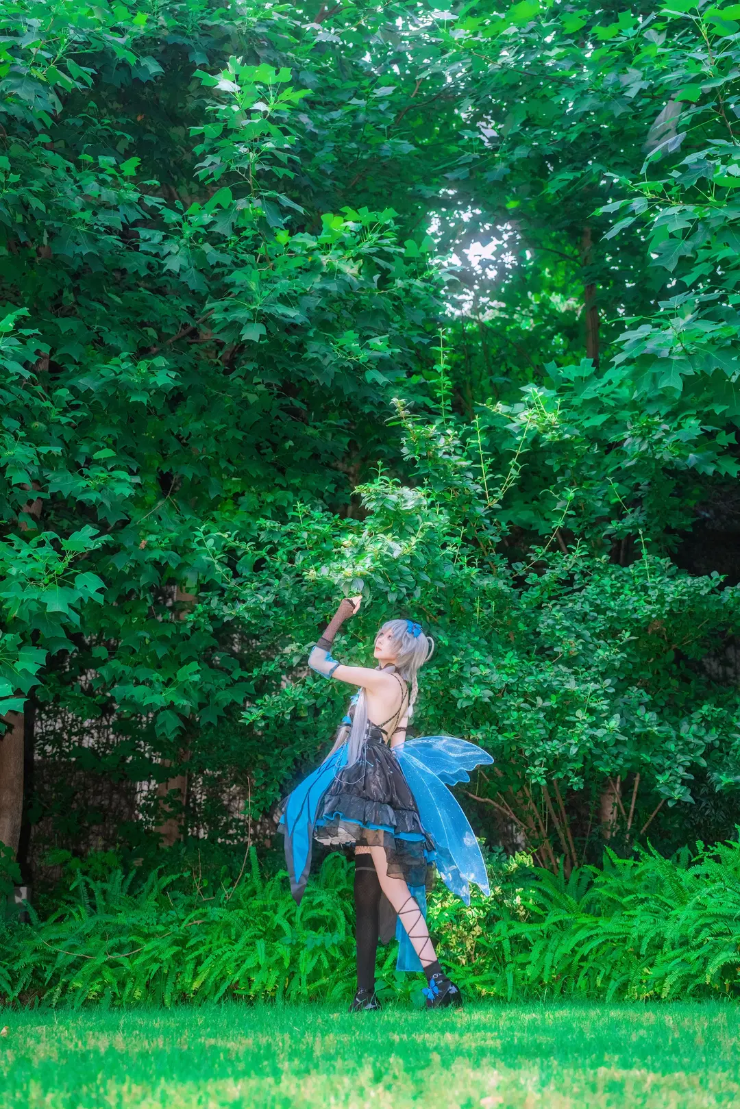 Luo Tianyi Summer Insect cosplay: Black-and-blue forest fairy style by Zhu.SAMA🔦📷 - Image 7