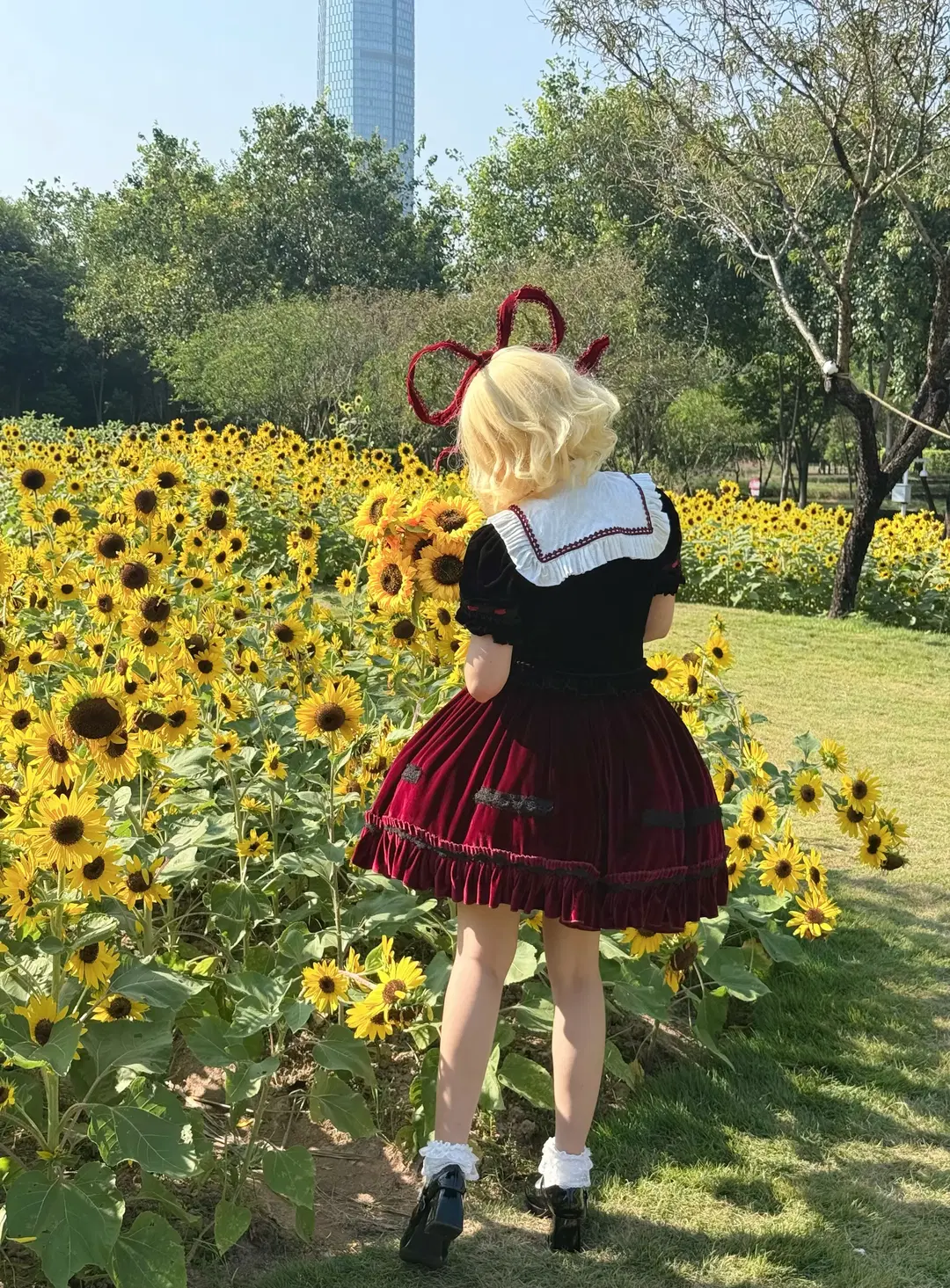 【梅蒂欣cos】东方project 向日葵花海中的洛丽塔