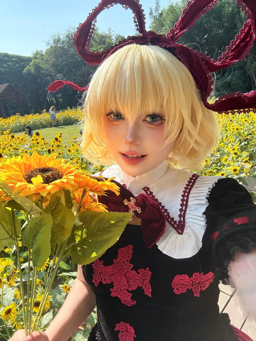 【梅蒂欣cos】東方project 向日葵花海中的洛麗塔 - 寻灯 - 第3張