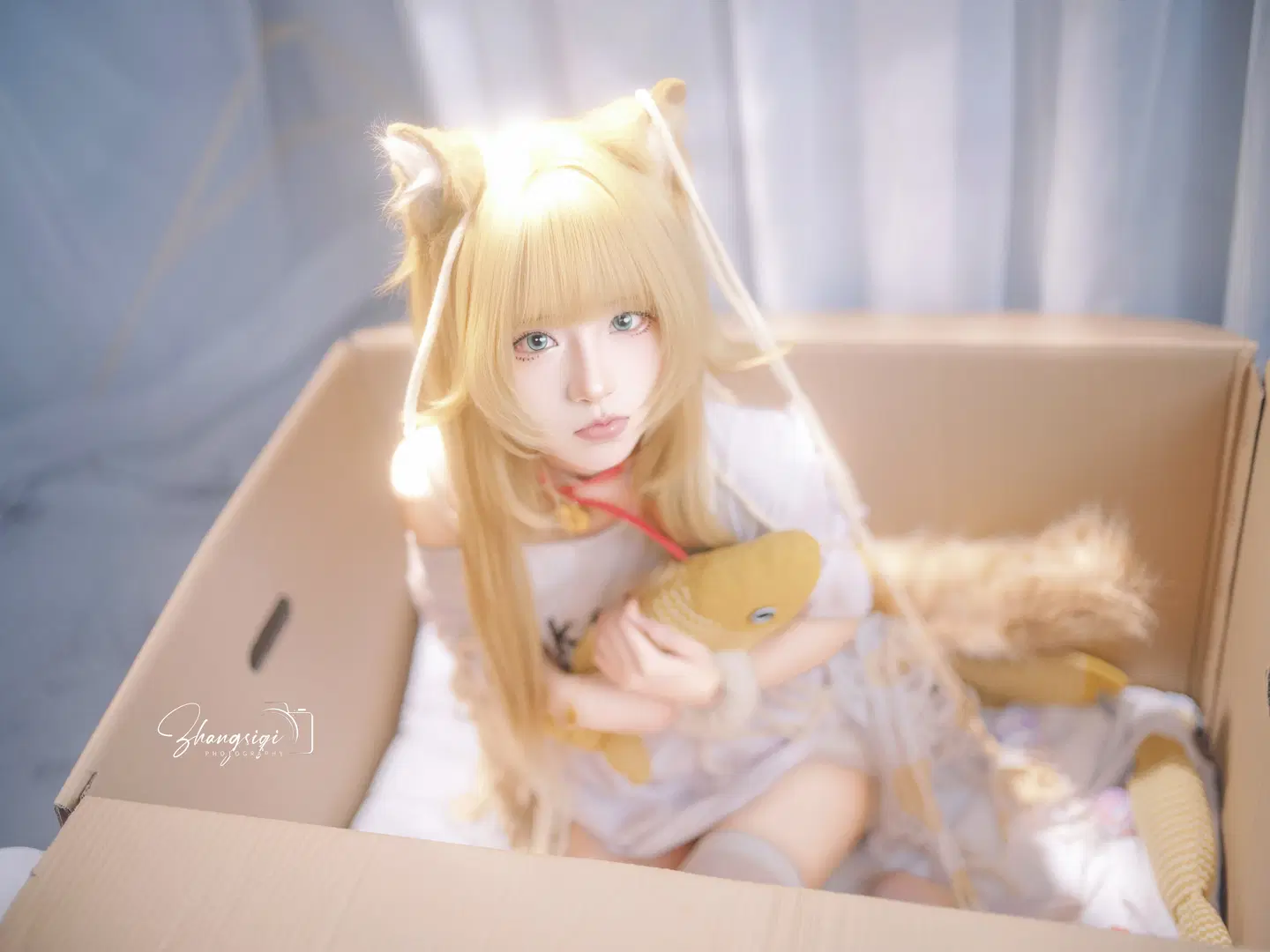 cosplay, 二次元摄影, 猫耳少女, 纸箱写真, 金发白丝