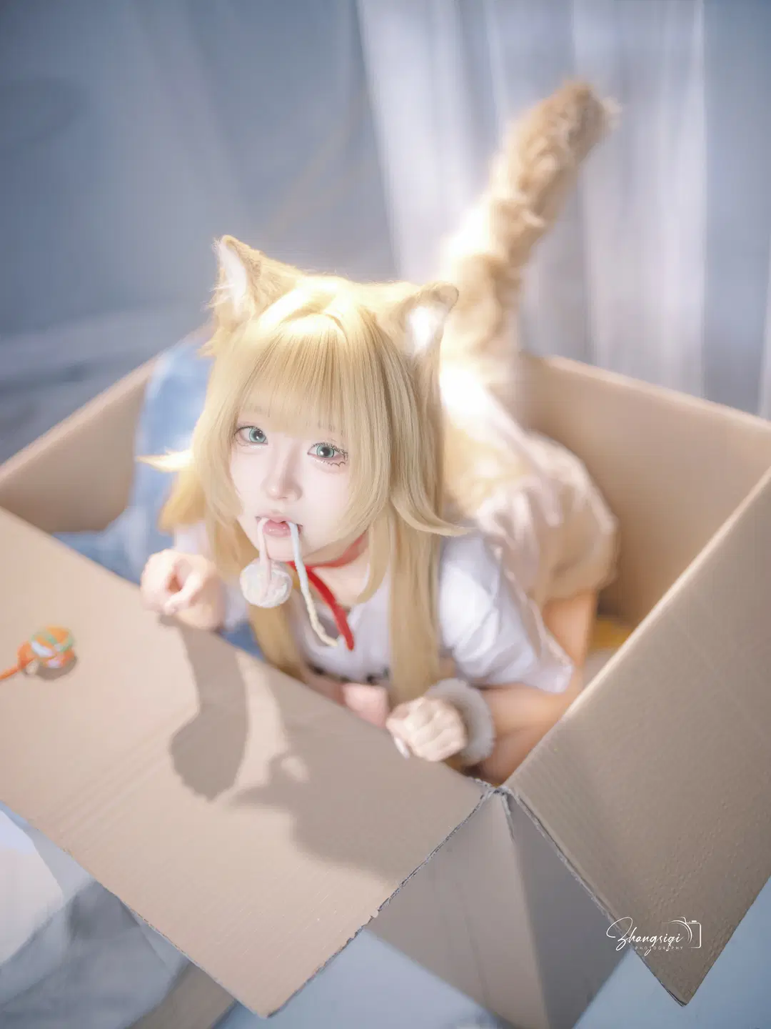 【黃豆粉貓娘cos】紙箱裡抱著魚的白色絲襪貓貓 - 坏坏孩子琦 - 第3張