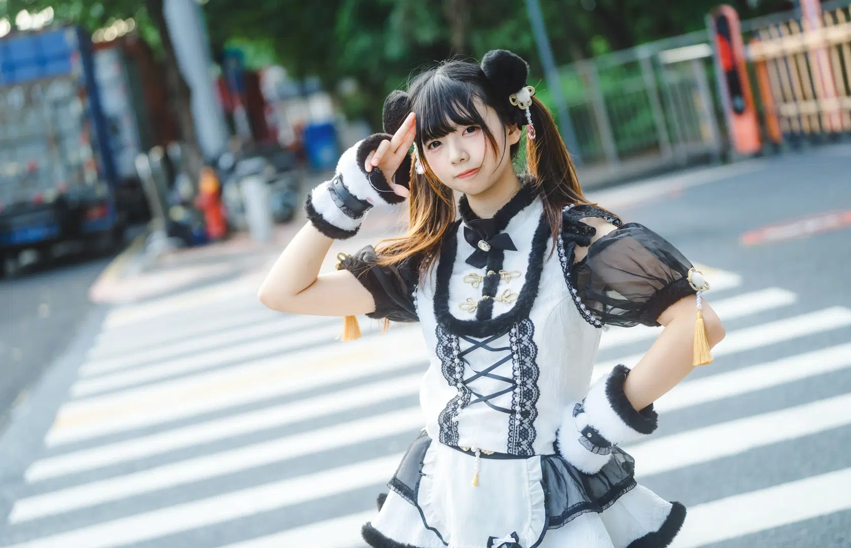 Panda Cheongsam Convention Return Photos: This Black & White Plush Outfit is Stunning by 小红帽 - Image 5