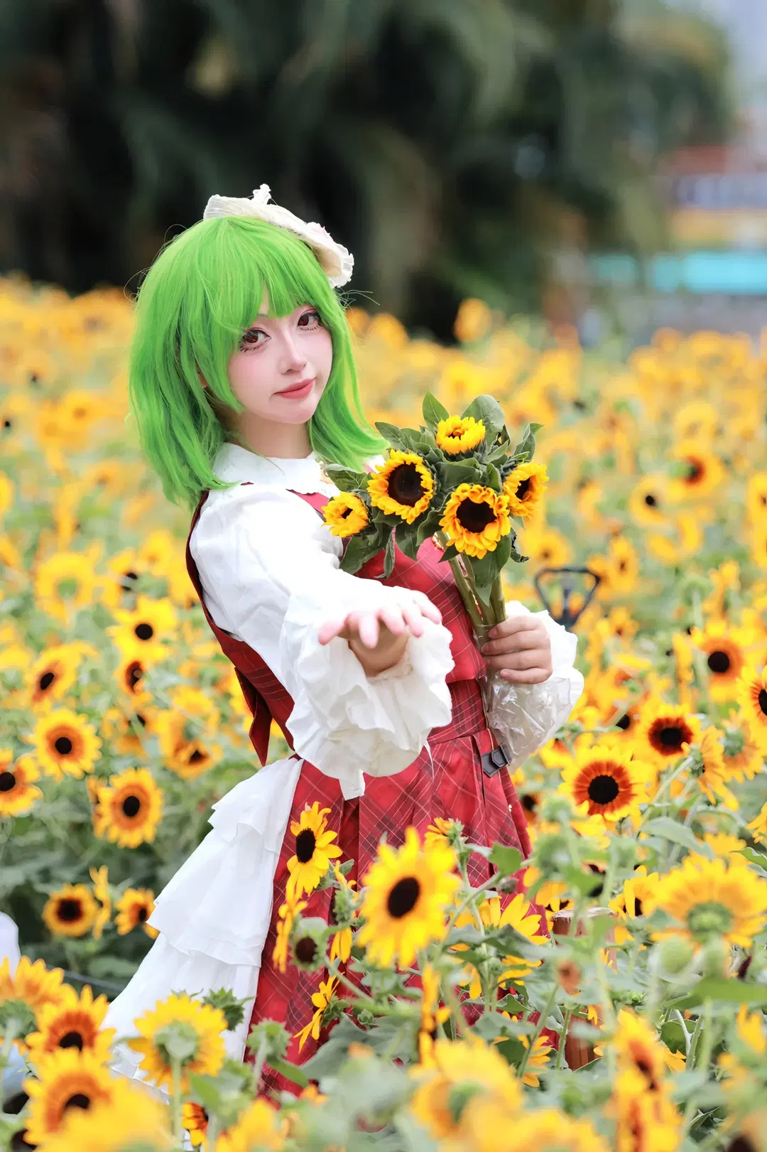 【风见幽香cos】东方Project 四季鲜花之主的向日葵花海正片 - 小菲大人来也 - 第4张