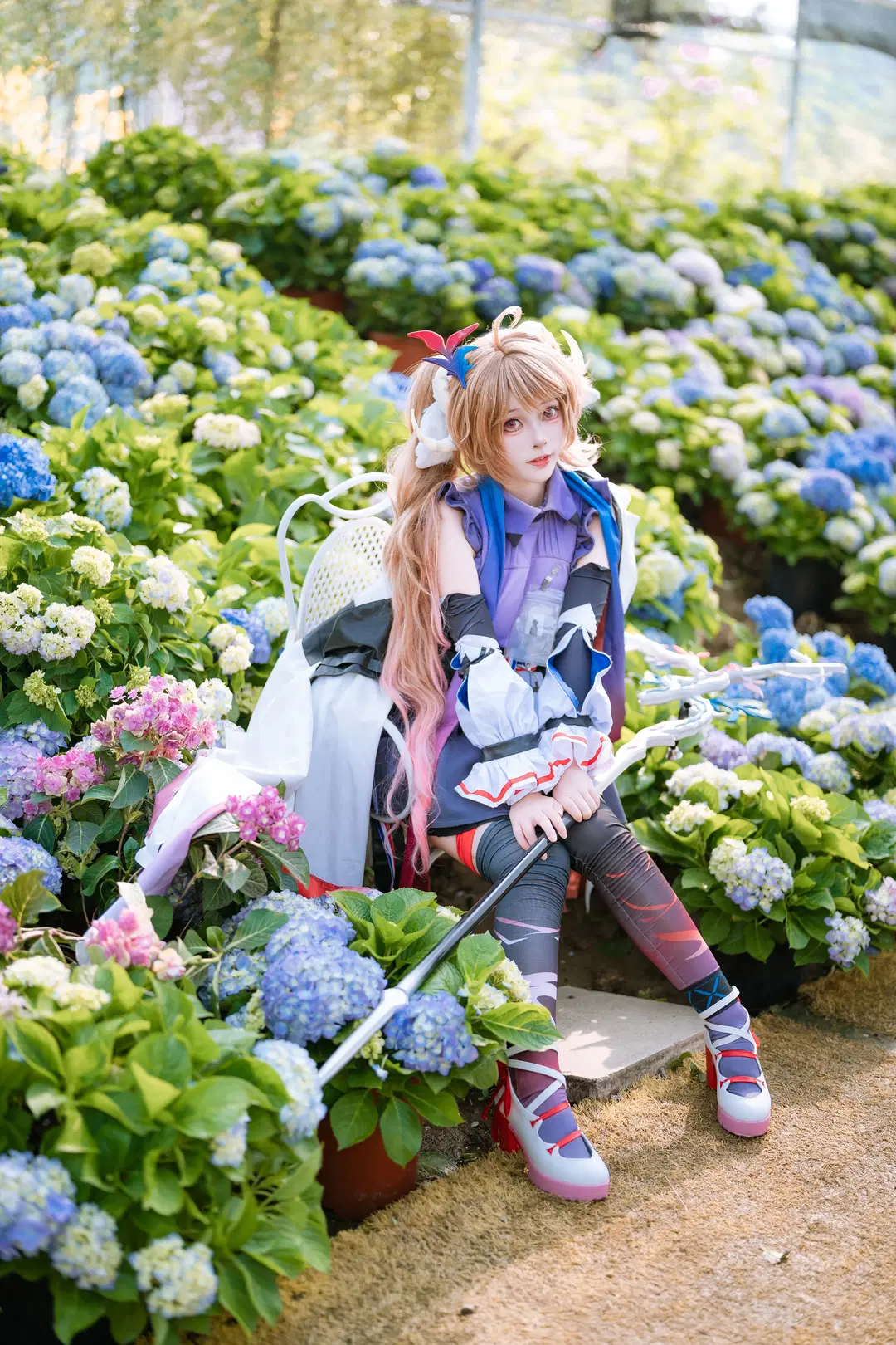 绣球花, 明日方舟, 纯烬艾雅法拉cos, 丝袜, 温室写真