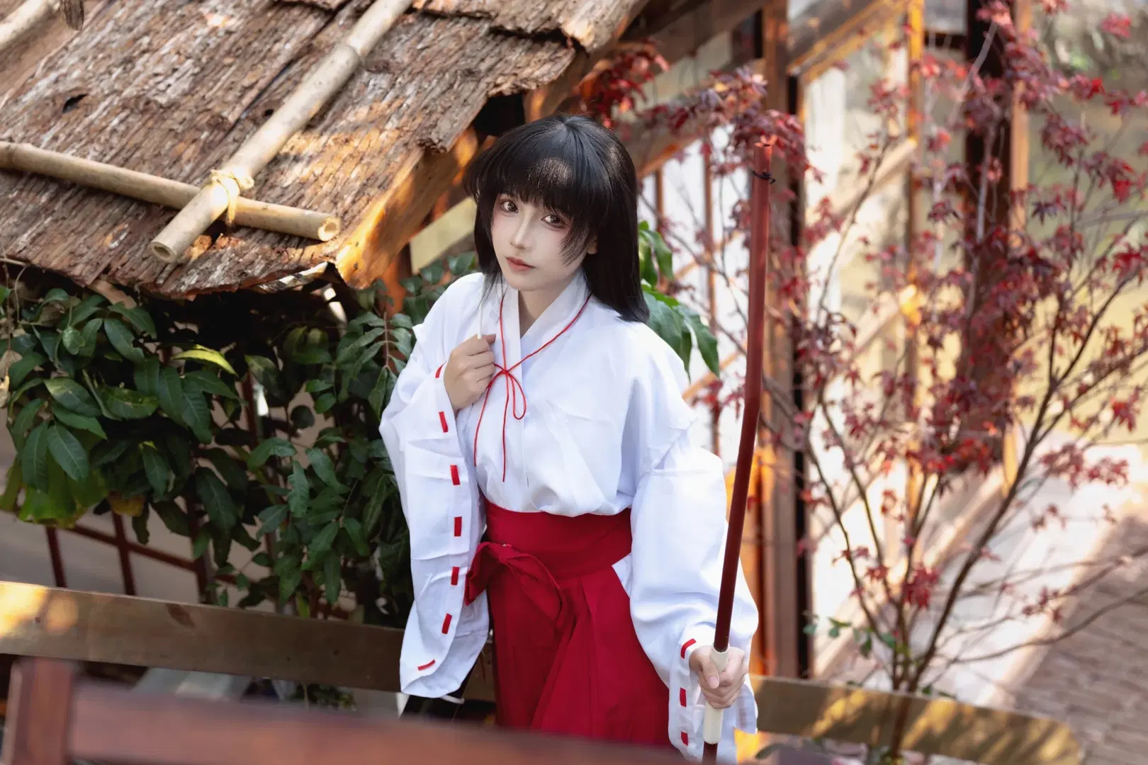 【桔梗cos】犬夜叉巫女服的溪谷行 - 夏尔 - 第2张