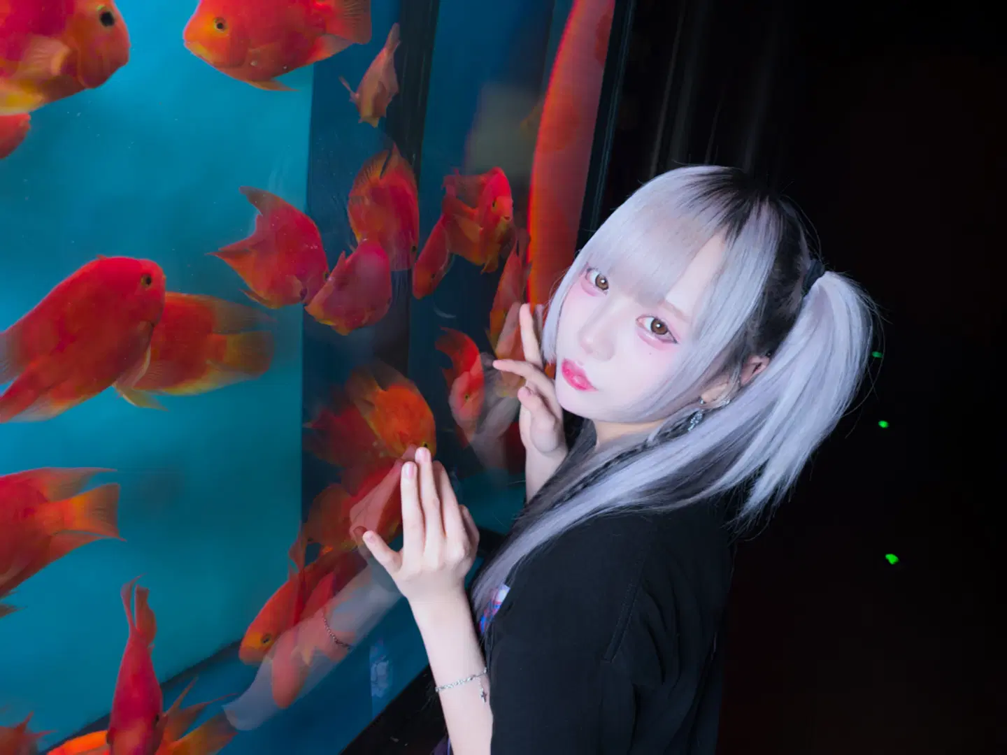 水族館の青とシルバーグレーのツインテール 雰囲気のあるスタイリッシュ撮影