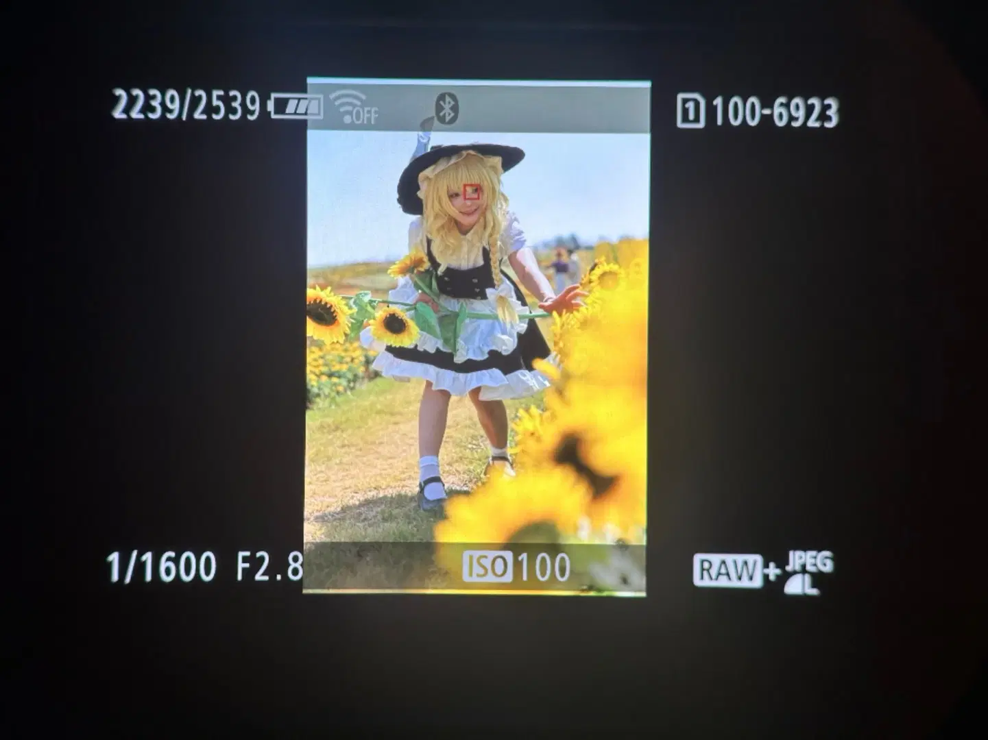 [Marisa cosplay] The black-and-white magician in the sunflower field by 元素素素素 - Image 10