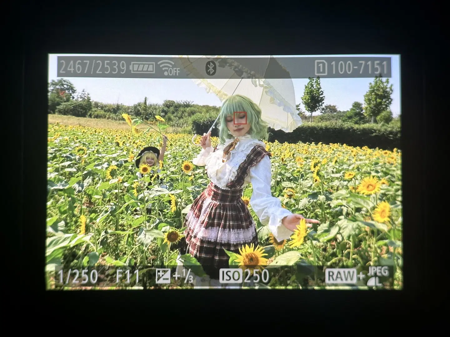 [Marisa cosplay] The black-and-white magician in the sunflower field by 元素素素素 - Image 13