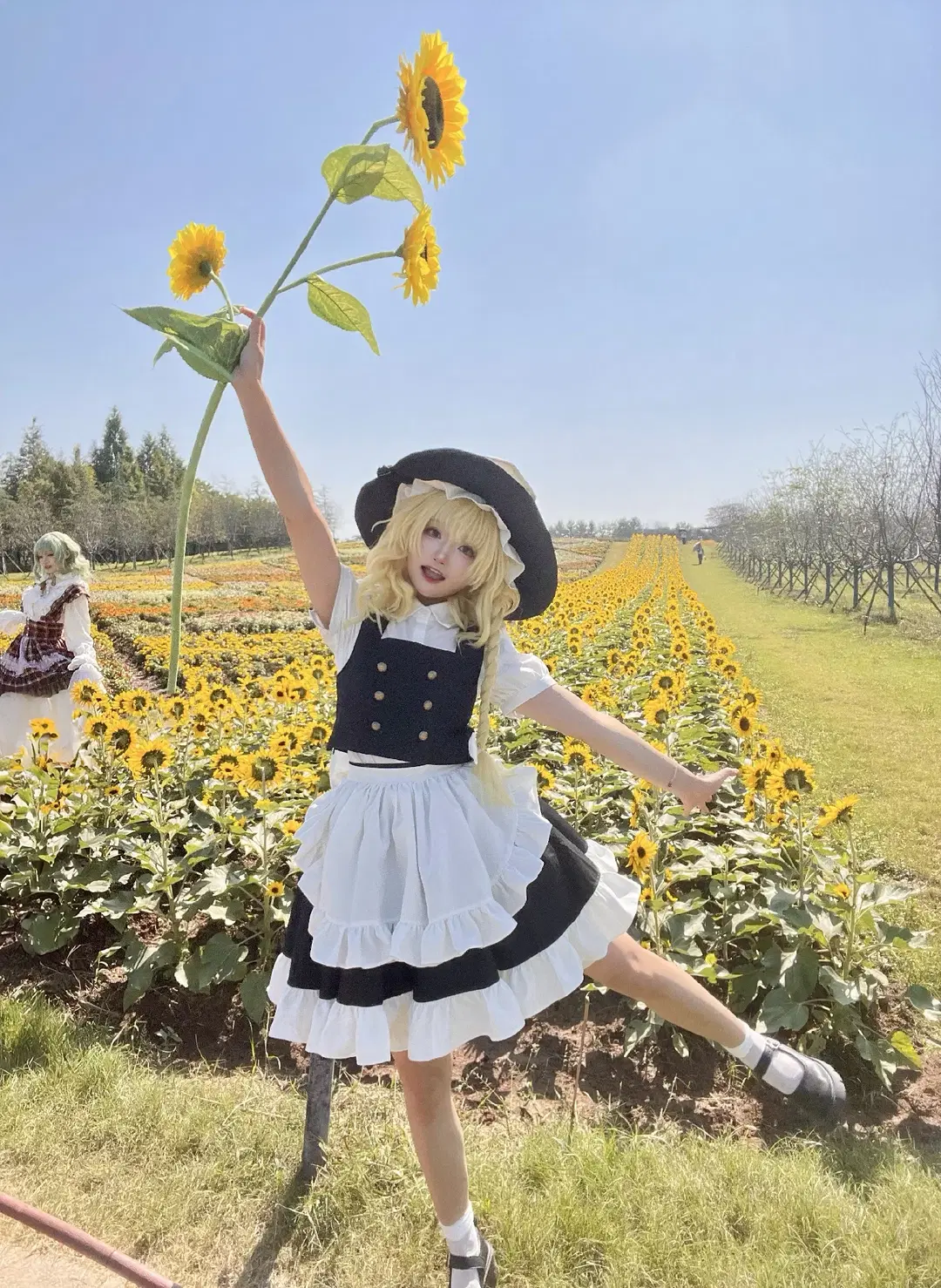 【魔理沙cos】向日葵花田里的黑白魔法使