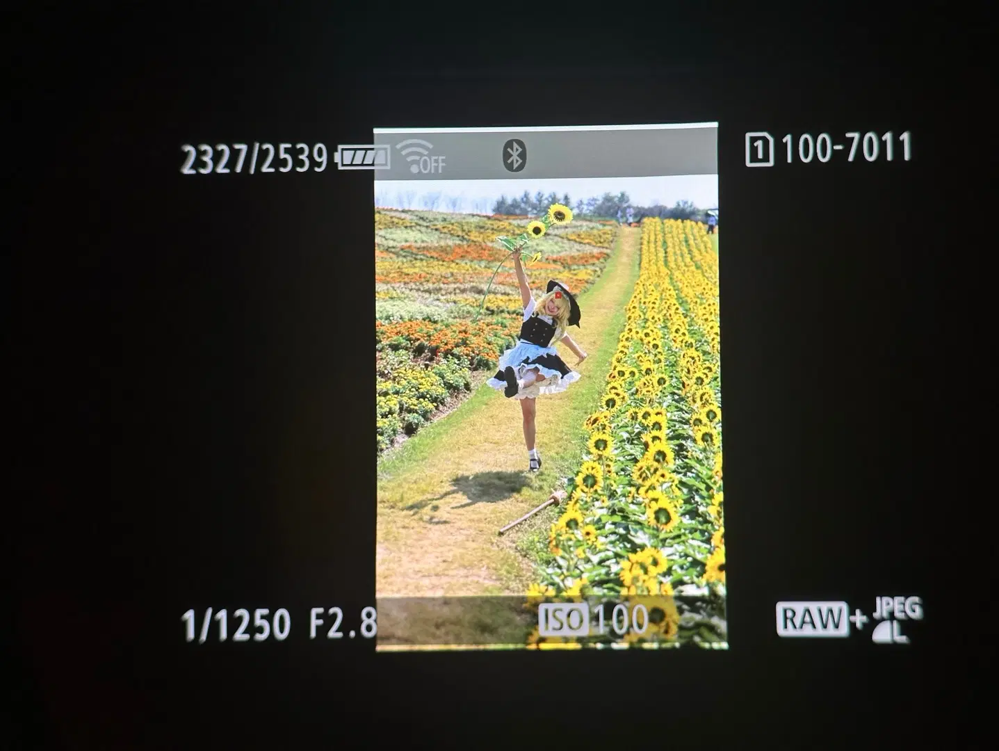 [Marisa cosplay] The black-and-white magician in the sunflower field by 元素素素素 - Image 9