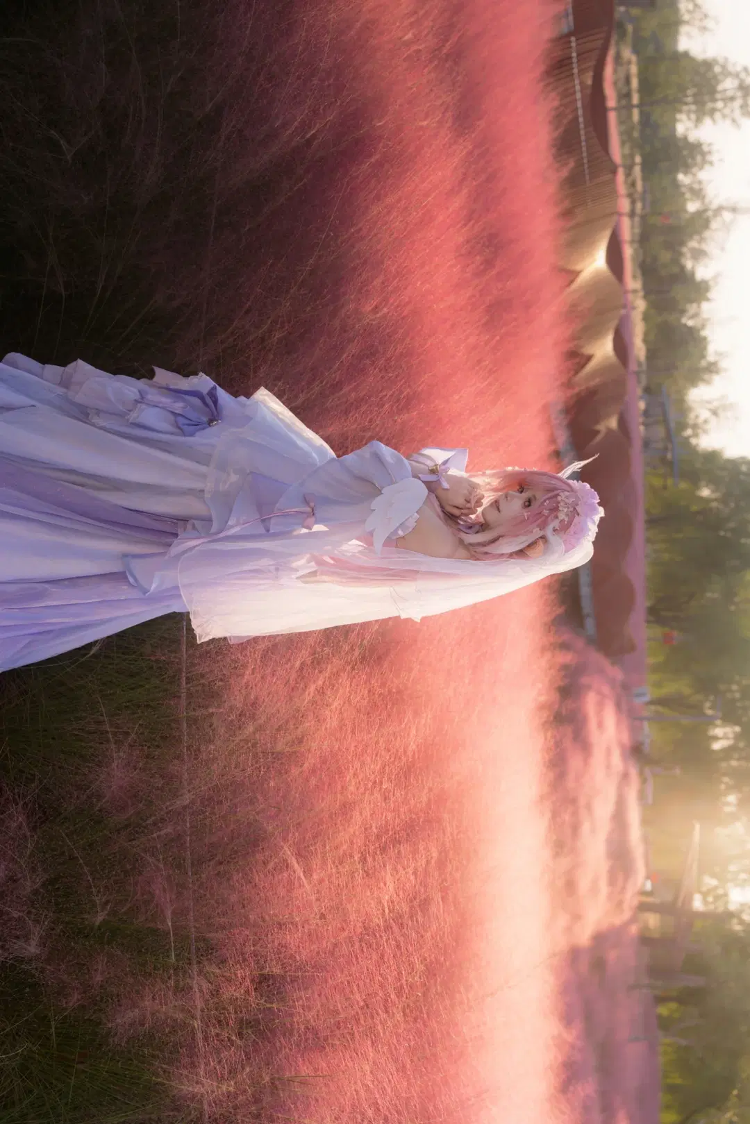 Honkai Impact 3rd Elysia Cosplay: The Pink Elf Miss in a Sea of Muhly Grass by 朝日六六花 - Image 2