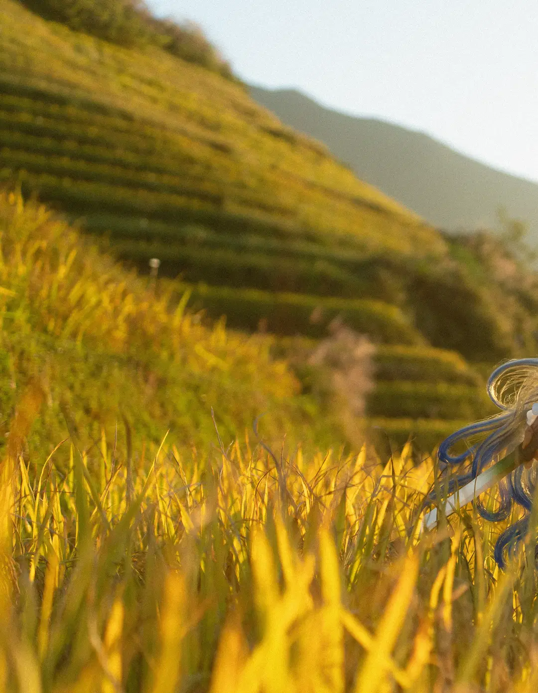 [Shu cosplay] Arknights Shu at Longji Rice Terraces: Autumn Travel Photoshoot by 蛇蛇子 - Image 2