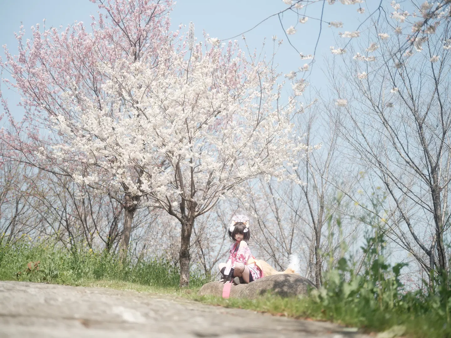 【久田泉奈cos】蔚蓝档案樱花季的狐耳和风少女 - 照烧热带鱼 - 第5张