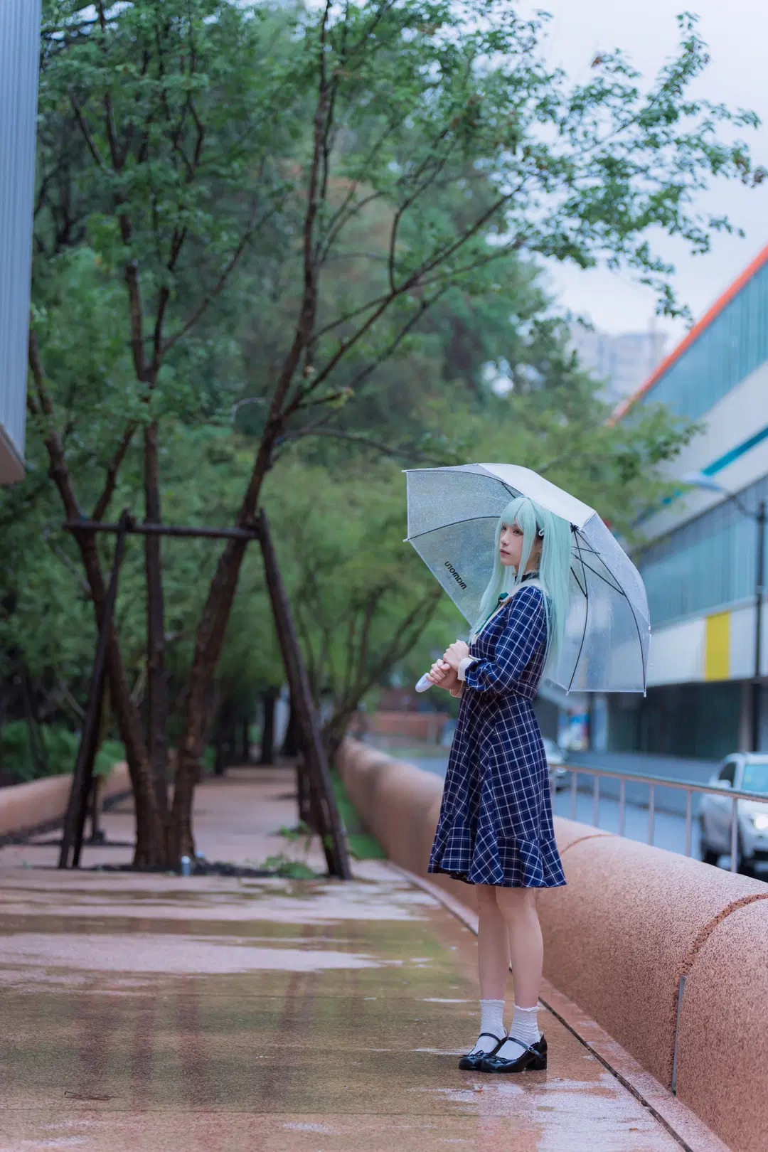 二次元, cosplay, 白丝, 若叶睦cos, mujica