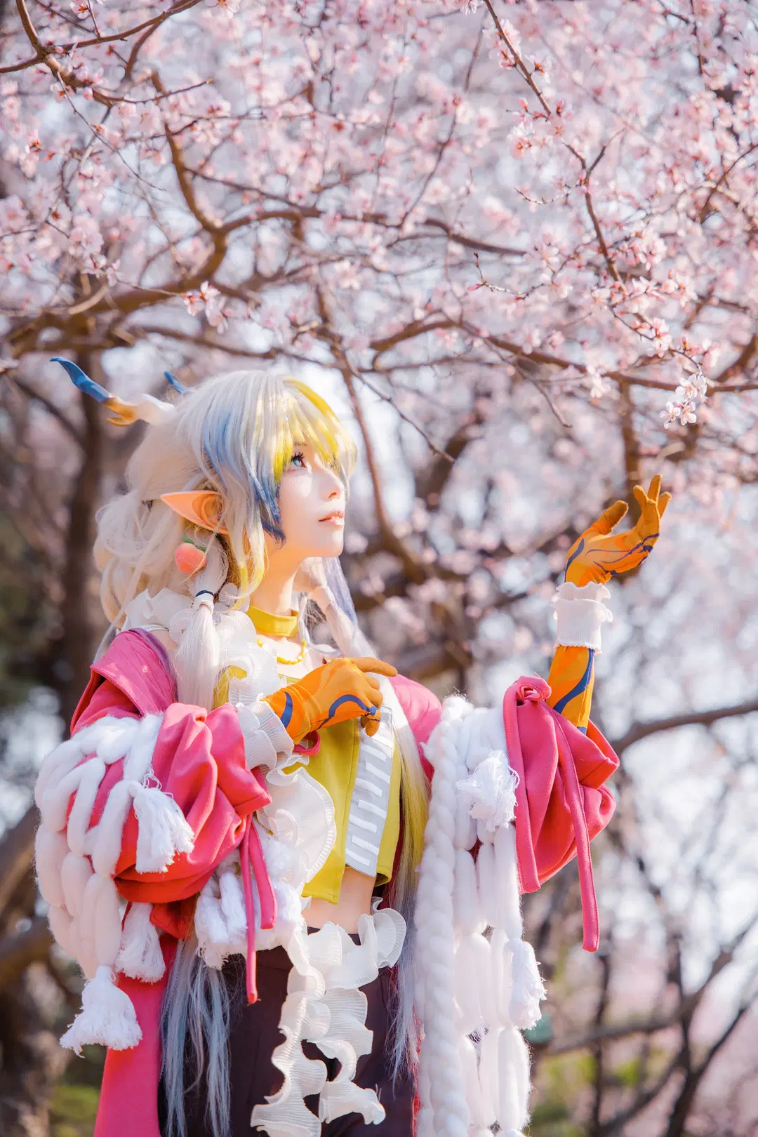 [Shu cosplay] Arknights: Spring Cherry blossom outdoor scene Shoot Record by 大饼（ijoy场照可约） - Image 3