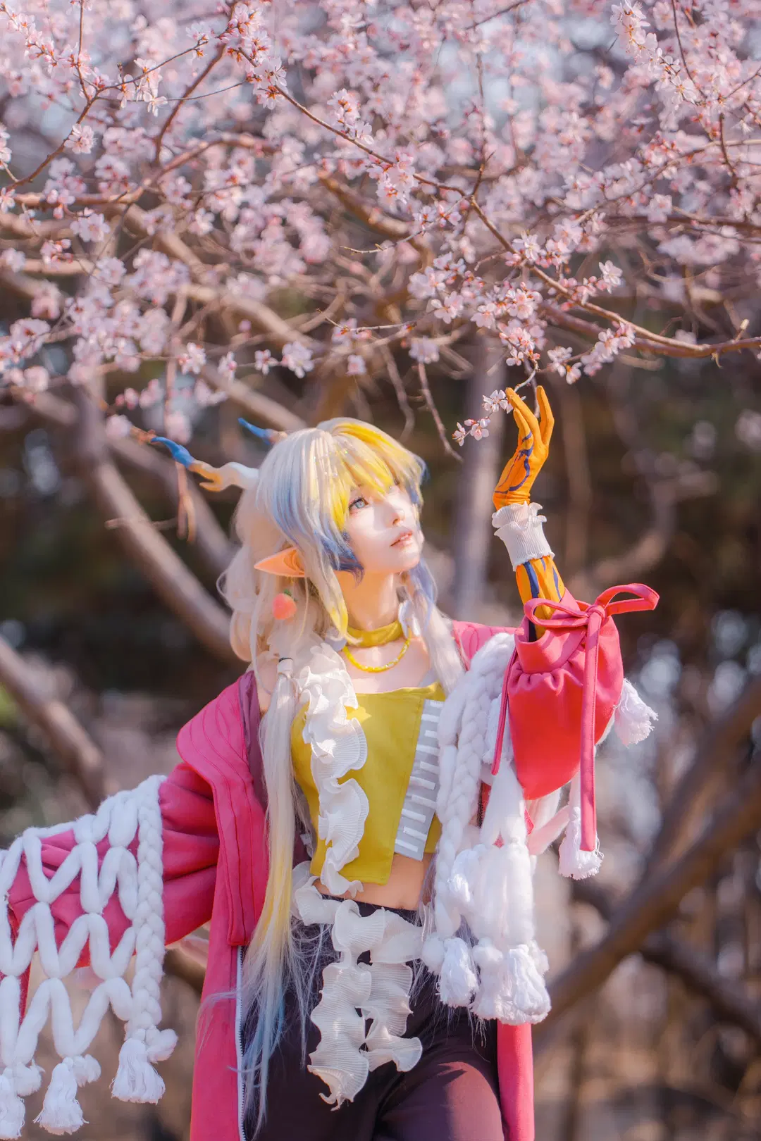 【黍cos】明日方舟春日樱花外景拍摄记录