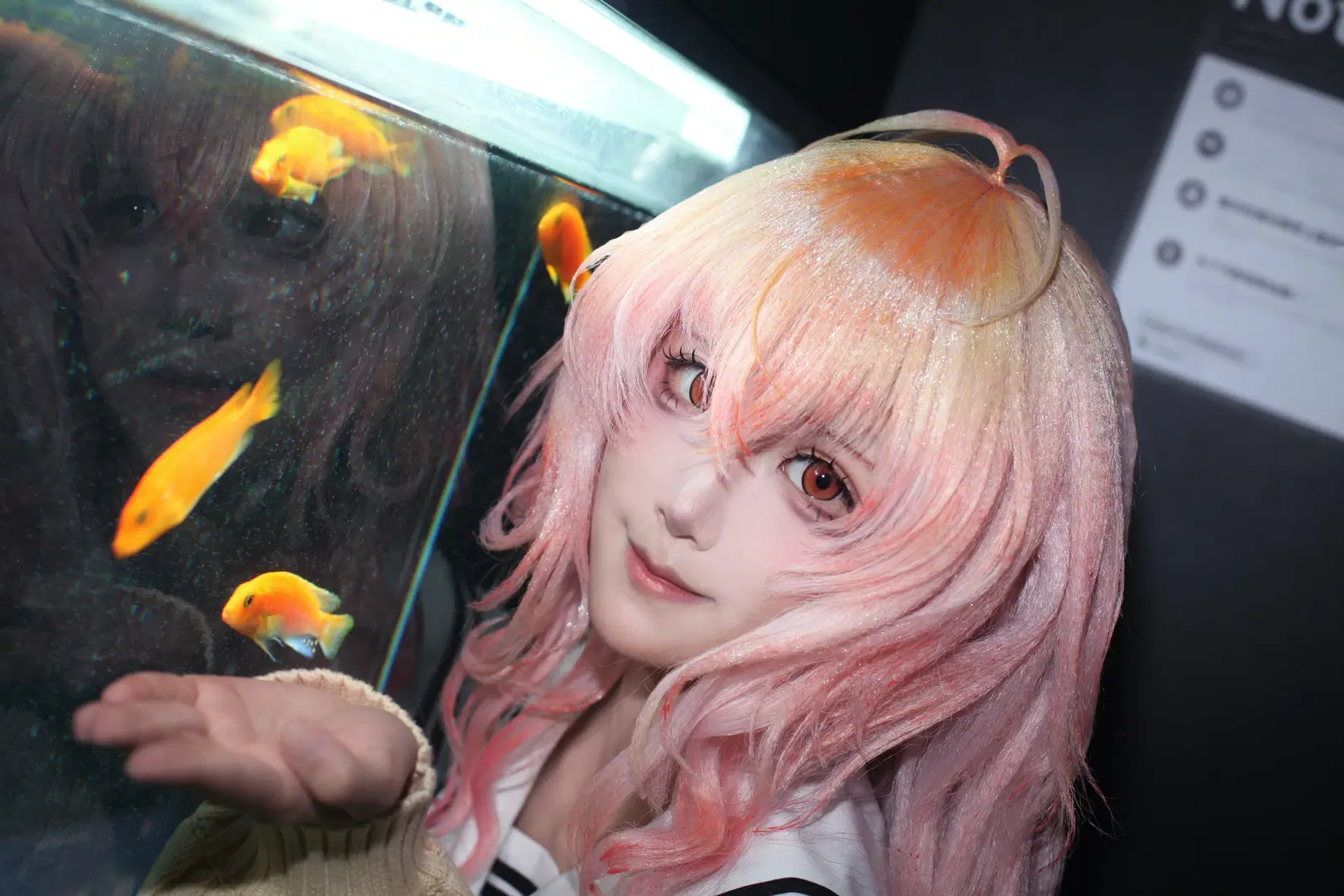 galgame, 粉发少女, 君与彼女与彼女之恋, 葵cos, 水族箱写真