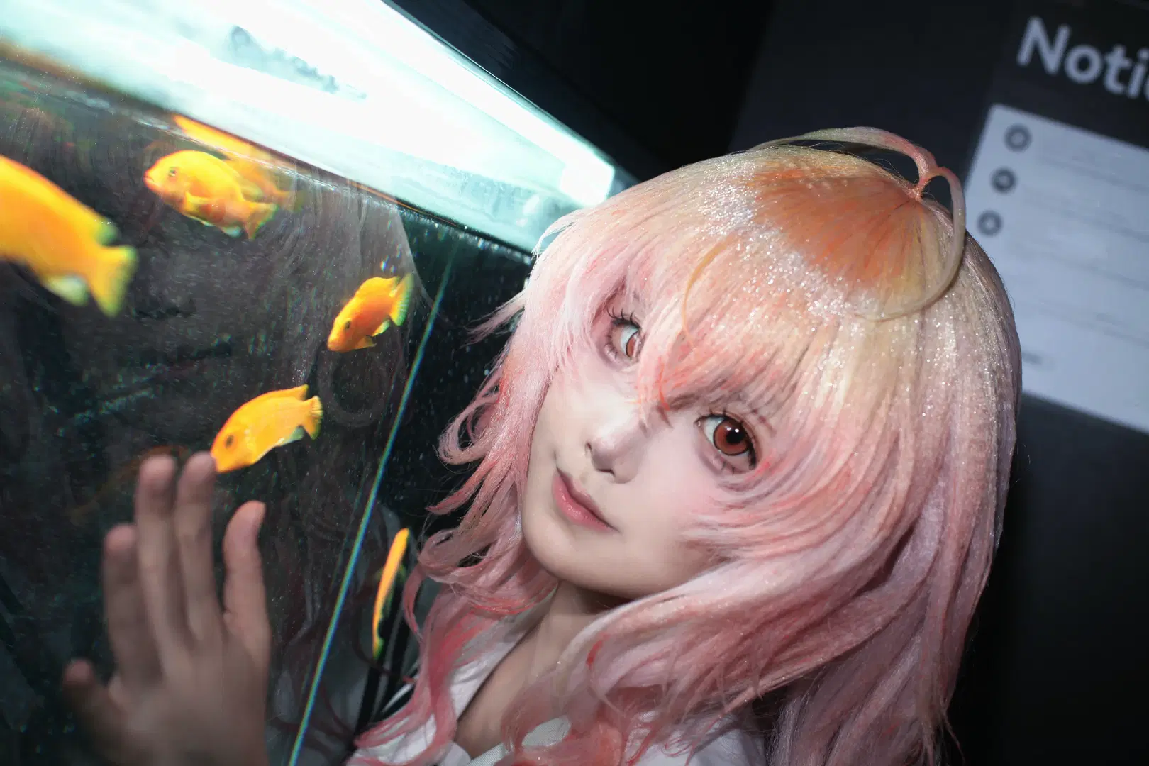 【葵cos】君與彼女與彼女之戀，水族箱前定格七秒的心動 - lov3eeanxxx - 第3張