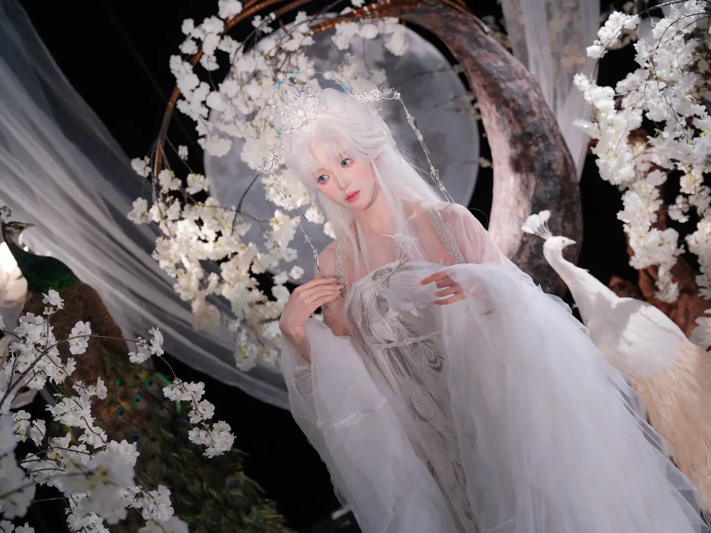 [Mahamayuri cosplay] Transforming into the white-feathered divine bird, capturing a spirited Ancient style photography session by 皮皮皮皮皮皮蛋 - Image 5
