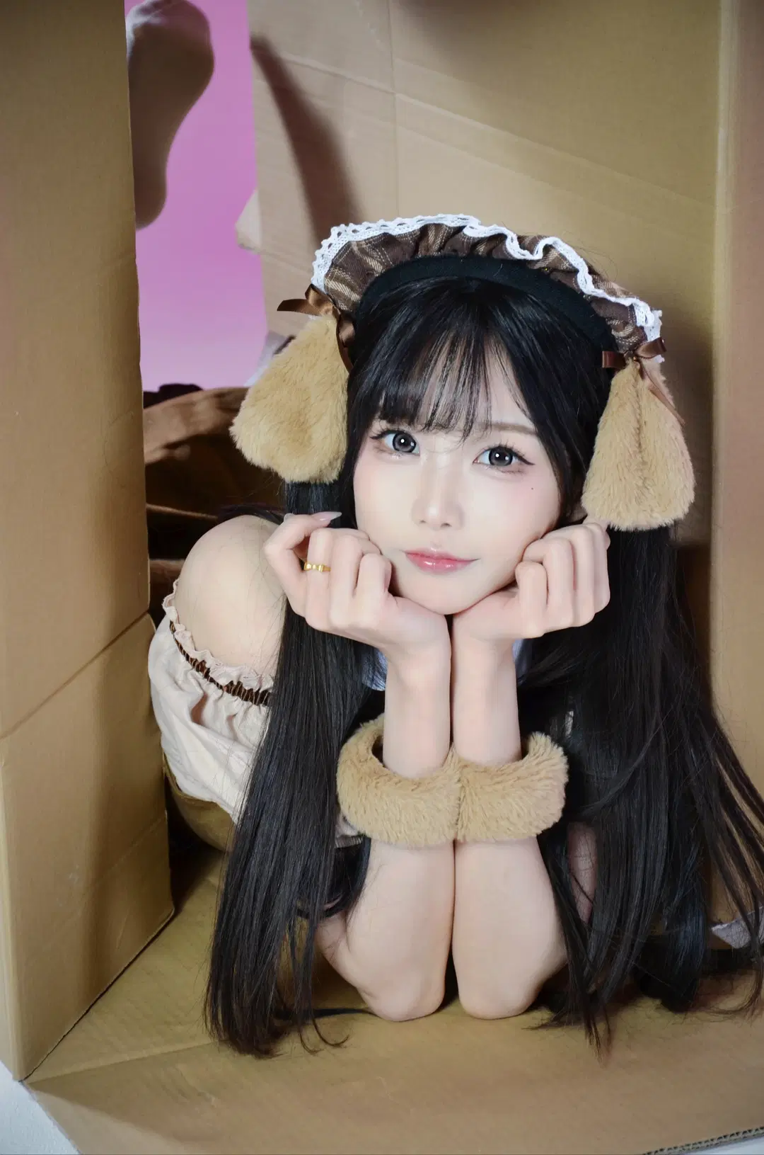 白ホリスタジオで紡ぐ柴犬メイドの撮影記録 - 北境不忘 - 2枚目