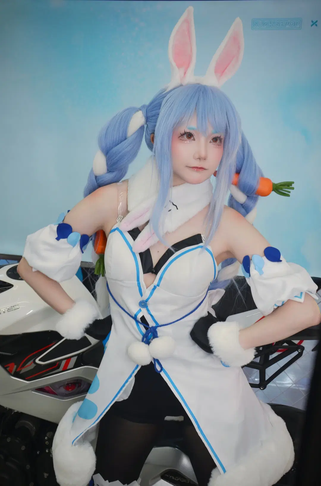 【兔田佩克拉cos】hololive快閃店的可愛兔子 - 北境不忘 - 第6張